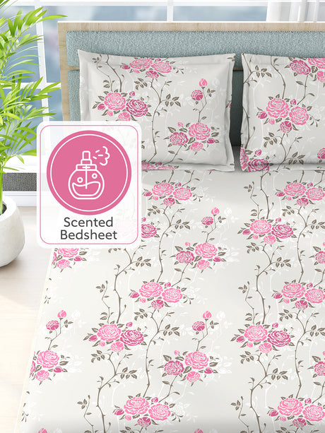 Nature Bouquet 100% Cotton 300 TC Floral Print Scented King Bedsheet with 2 Pillow Covers (Rose Fragrance)