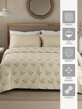 Valatia 100% Cotton 200 TC Double Bedsheet with 2 Pillow Covers - Cream Floral