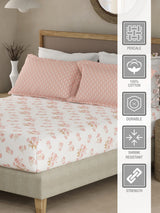 Valatia 100% Cotton 200 TC Peach & White Floral King Fitted Bedsheet with 2 Pillow Covers