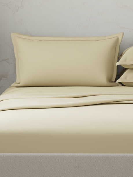 100% Cotton 300 TC | King Dyed Bedsheet with 4 Pillow Covers | Emblem Collection - Beige