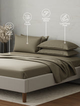 100% Cotton 300 TC | King Dyed Bedsheet with 4 Pillow Covers | Emblem Collection - Green