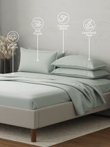 100% Cotton 300 TC | King Dyed Bedsheet with 4 Pillow Covers | Emblem Collection - Grey